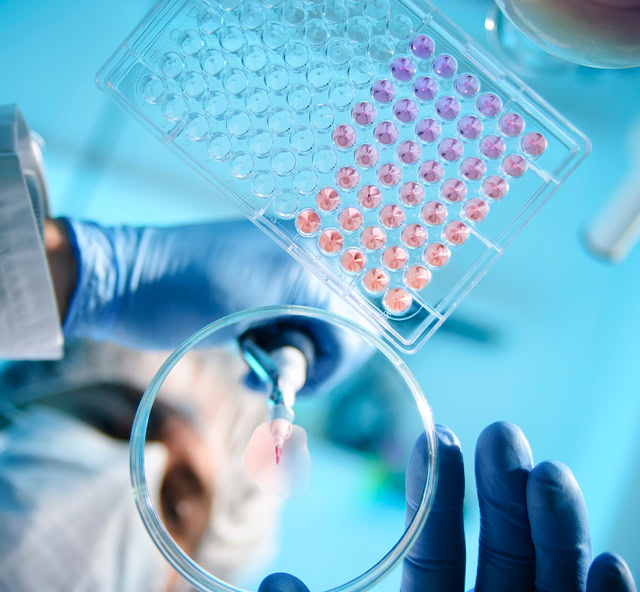 Fast Pharma: The Cost of Coming in Second in Clinical Trials
